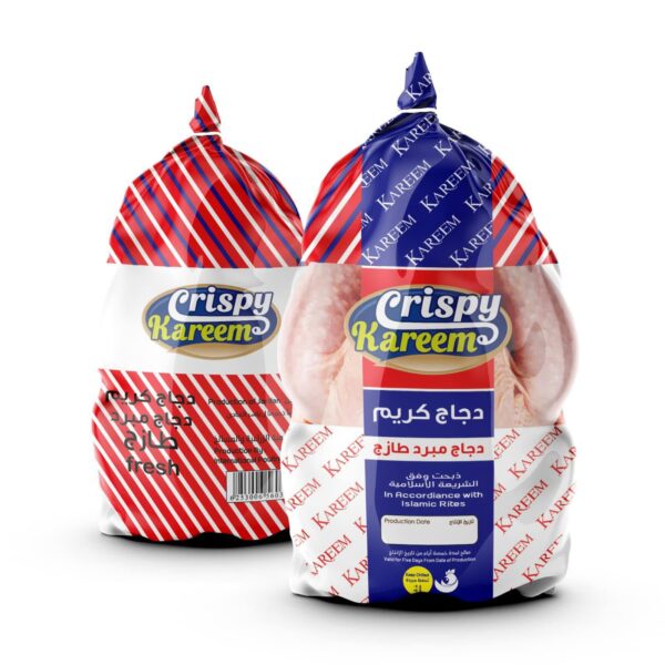 WhatsApp Image 2025-04-19 at 2.26.09 PM